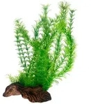 Hobby Flora Root 3 - L, 30 Cm - Kunststoffpflanze F&uuml;r Aquarien