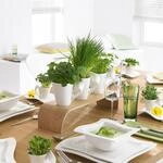 Villeroy & Boch Newwave Kaffeetasse