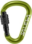 Salewa Hms Schraubkarabiner G2 Unisex Gr&uuml;n 00-00000015255810
