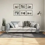 Vidaxl - Teppich Huarte Kurzflor Weich Und Waschbar Anthrazit 120x170 Cm
