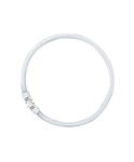 Leuchtstoffr&ouml;hre 2gx13 22w Neutralwei&szlig; Ringform - Osram