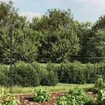 Maschendrahtzaun Mit Bodenh&uuml;lsen Anthrazit 1,6x10 M Vidaxl