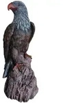Relaxdays Adler Figur, Sitzend, Hxbxt: 66 X 30 X 36 Cm, Polyresin,...