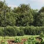 Maschendrahtzaun Anthrazit 2x10 M Verzinkter Stahl Vidaxl