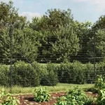 Maschendrahtzaun Mit Bodenh&uuml;lsen Anthrazit 1,4x25 M - Vidaxl