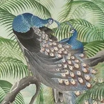 Art For The Home - Fototapete Peacock 280x200cm