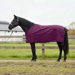 Vidaxl Horse Blanket Full Purple 155 Cm Polyester