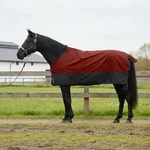 Vidaxl Horse Blanket Bordeaux And Black 155 Cm Polyester