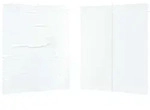 Vidaxl Party Tent Sidewall 2 Pcs 200 X 195 Cm White Pe And Steel