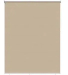 Au&szlig;en-rollos Mit Uv-schutz Beige 100 X 230 Cm (b X H) Polyester Vidaxl