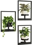 Wandbehang Pflanzgef&auml;&szlig;e 3er Set Mit Metallrahmen, Bis &Oslash;15cm Topf