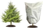 Pflanzenschutzhaube Winterschutz 60x80cm Wei&szlig; Atmungsaktiv Rei&szlig;fest F&uuml;r B&auml;ume