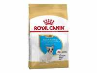 Essen Royal Canin French Bulldog Welpe (Junior) Bulldogg Frank Welpen (bis 12 Monate)
