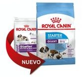 Royal Canin Giant Starter Mother & Babydog 15 Kg