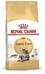 Royal Canin - Essen Maine Coon Fщr Erwachsene Katzen - 10 Kg