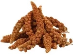 1 Kg Lyra Pet&reg; Kolbenhirse Rot