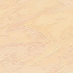 Unitapete Orange Vliestapete 169020&nbsp169020
