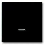 Busch-jaeger 6543-885-101 Bedienelement