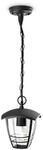 Pendelleuchte Philips Creek Schwarz