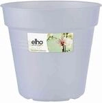 Green Basic Orchidee Transparent 13 Cm