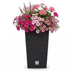 Rato Drts325 Hoher Blumentopf Mit Einsatz Anthrazit