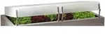 Hochbeet Thermohauben 65x60x12 Cm 2 St&uuml;ck Anzuchtbeet Fr&uuml;hbeet Gartenbeet - Juwel