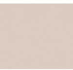 A.s. Creation Il Decoro | 309150 | Vliestapete Einfarbig | 0.53 M X 10.05 M | Beige