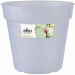 Green Basic Orchidee Transparent 17 Cm