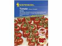 Tomate Nectar Solanum lycopersicum, Inhalt 6 Korn Gemüsesamen - Kiepenkerl