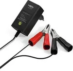 Ansmann Kfz-ladeger&auml;t F&uuml;r 2v/6v/12v Autobatterie