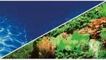 Fotor&uuml;ckwand Pflanzen 8 / Marin Blue, 120 X 50 Cm - Hobby