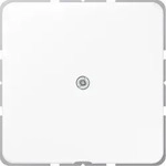 Jung Leitungsauslass Aws Mit Zugentlastung Cd 590 A Ww