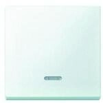 Merten Kontrollwippe Mit Kontrollfenster System M Polarwei&szlig; Matt 431019