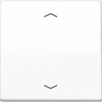 Jung Wippe Symbole Aws F&uuml;r Taster As 591 P Ww