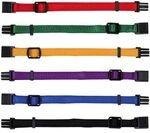 Junior Set Of Puppy Collars, M-l: 22-35 Cm/10 Mm, 6 Pcs., Black, Red, Royal Blue
