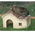 Kerbl Naturhaus Aus Massivem Holz Braun 30x20x20 Cm