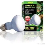 Exo Terra Daylight Basking Spot 50w Transparent