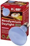 Neodymium Daylight Eco, Tageslicht-halogenstrahler - 42w - Hobby