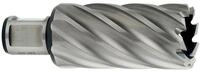 Metabo - Hss-kernbohrer 29x55 Mm, Weldonschaft 19 Mm (3/4') (626538000)