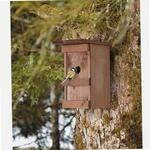 Windhager - Vogelnest Aus Massivem, Lackiertem Holz