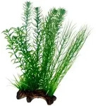 Flora Root 2 - L, 30 Cm - Kunststoffpflanze F&uuml;r Aquarien - Hobby