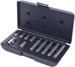 10mm Bit-satz, 11-tlg, Vielzahn