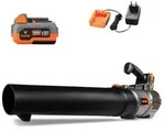 Akku Laubbl&auml;ser 20v Fx-e1lb20 &ndash; Inklusive 2 X Li-ion 2ah-akku Und 2,4a Ladestation