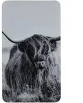 Herdabdeckplatte Universal Highland Cattle 2er Set, F&uuml;r Alle Herdarten, Mehrfarbig,