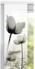 Neusser Collection - Flächenvorhang Dream taupe, 60 x 280 cm Flächenvorhänge