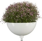 11320-20 Clickup Pflanzschale - Gardena