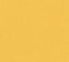 Uni Tapete in Gelb Orange Jungen und Mädchenzimmer Vliestapete einfarbig Neutrale