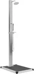 Vidaxl Outdoor Shower With Tray Wpc Stainless Steel (48198+48203)