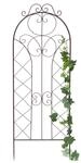 Dandibo - Rankhilfe F&uuml;r Kletterpflanzen Metall Xxl H-150 Cm B-50 Cm Mit Dekor 96017