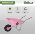 Kinderschubkarre Prinzessin Schiebkarre Metallschubkarre Gartenkarre Sandspielzeug